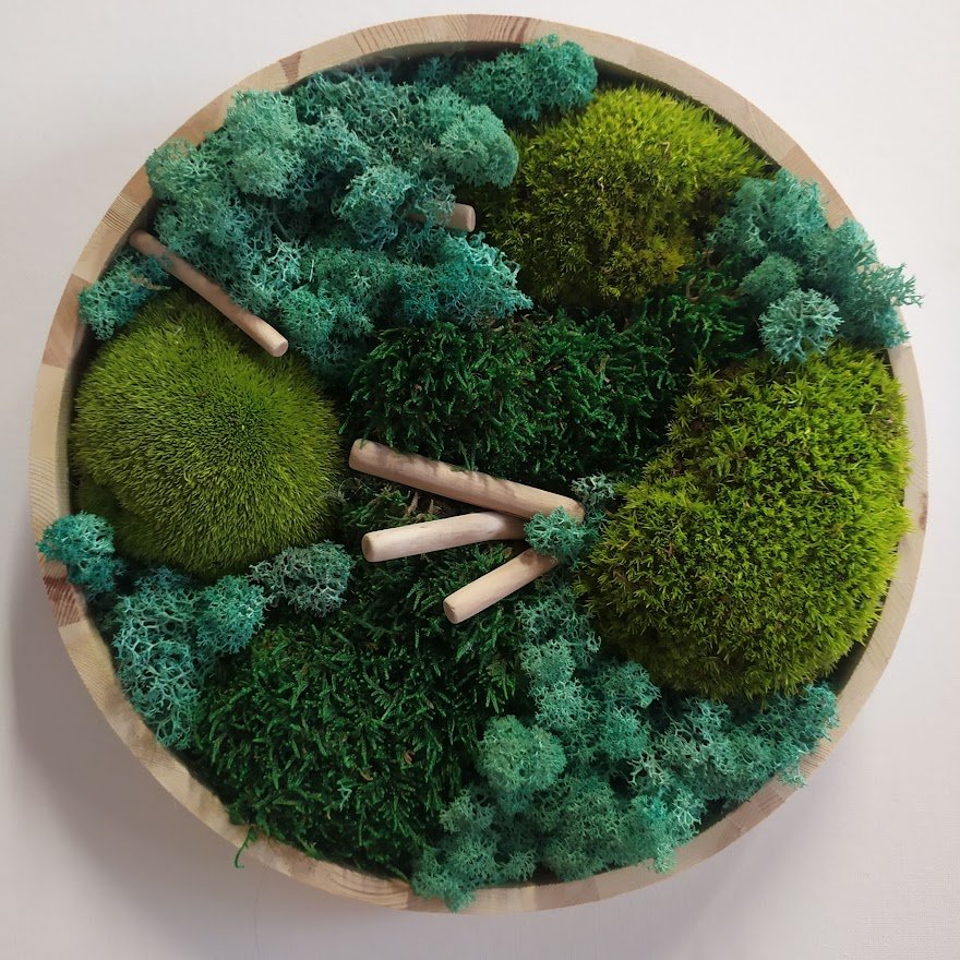 Mechové obrazy co nám přináší a peče o ně