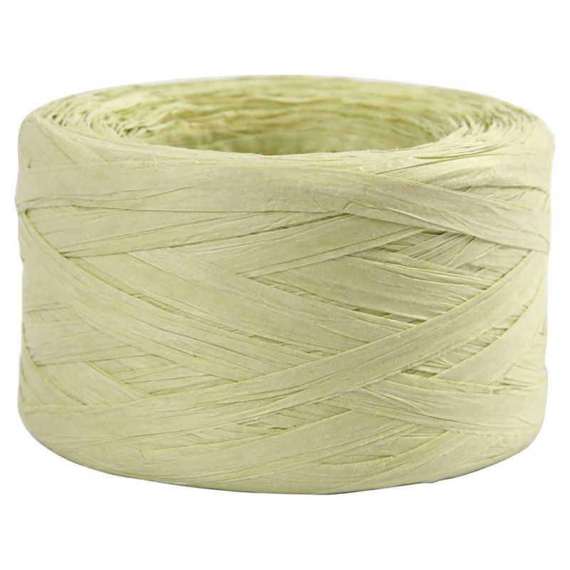 Papírová příze Raffia 100m světle zelená