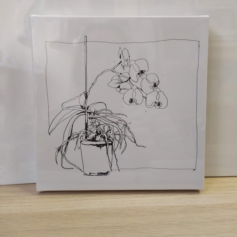 Předtištěné malířské plátno - orchidej