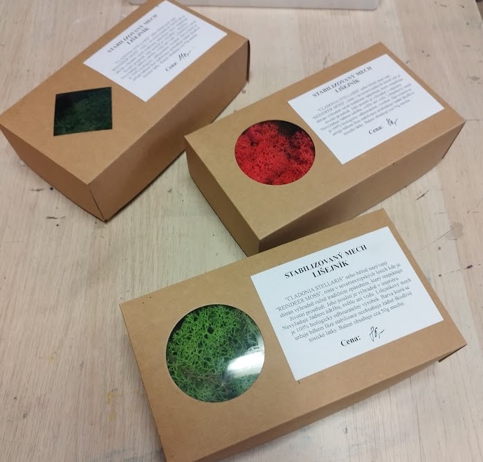 Stabilizovaný mech - lišejník - jablečná zelená (čištěný) bal. 50g