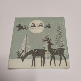Ubrousek 25x25cm - Klid v lese
