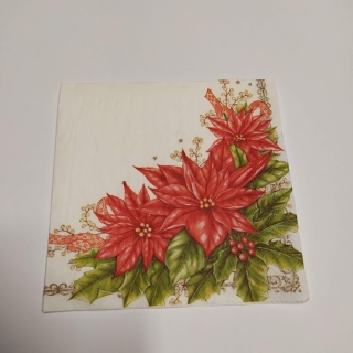 Ubrousek 25x25cm - Vánoční hvězda
