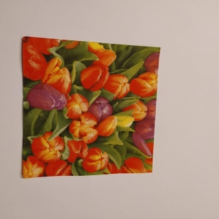 Ubrousek 25x25cm - Tulipány