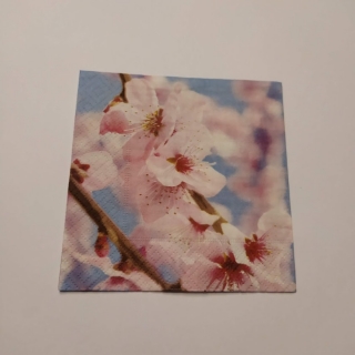 Ubrousek 25x25cm - Třešňová větvička