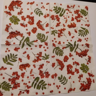 Ubrousek 25x25cm - jeřabiny