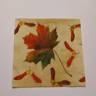 Ubrousek 25x25cm - listy 2