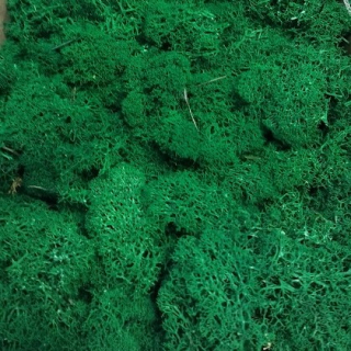 Stabilizovaný mech - lišejník - borovicový (čištěný) bal. 50g