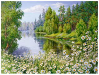 Jezero s květy - Diamantový obrázek plný