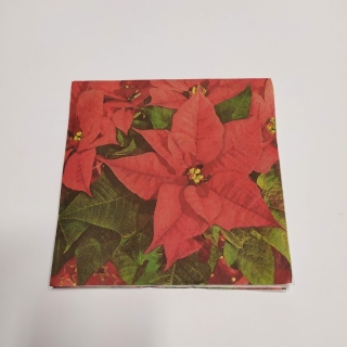 Ubrousek 33x33cm - Vánoční hvězdy